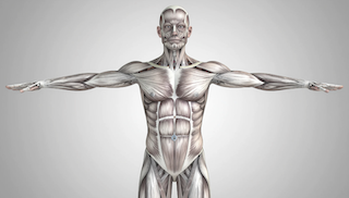 左右差は悪なのか？