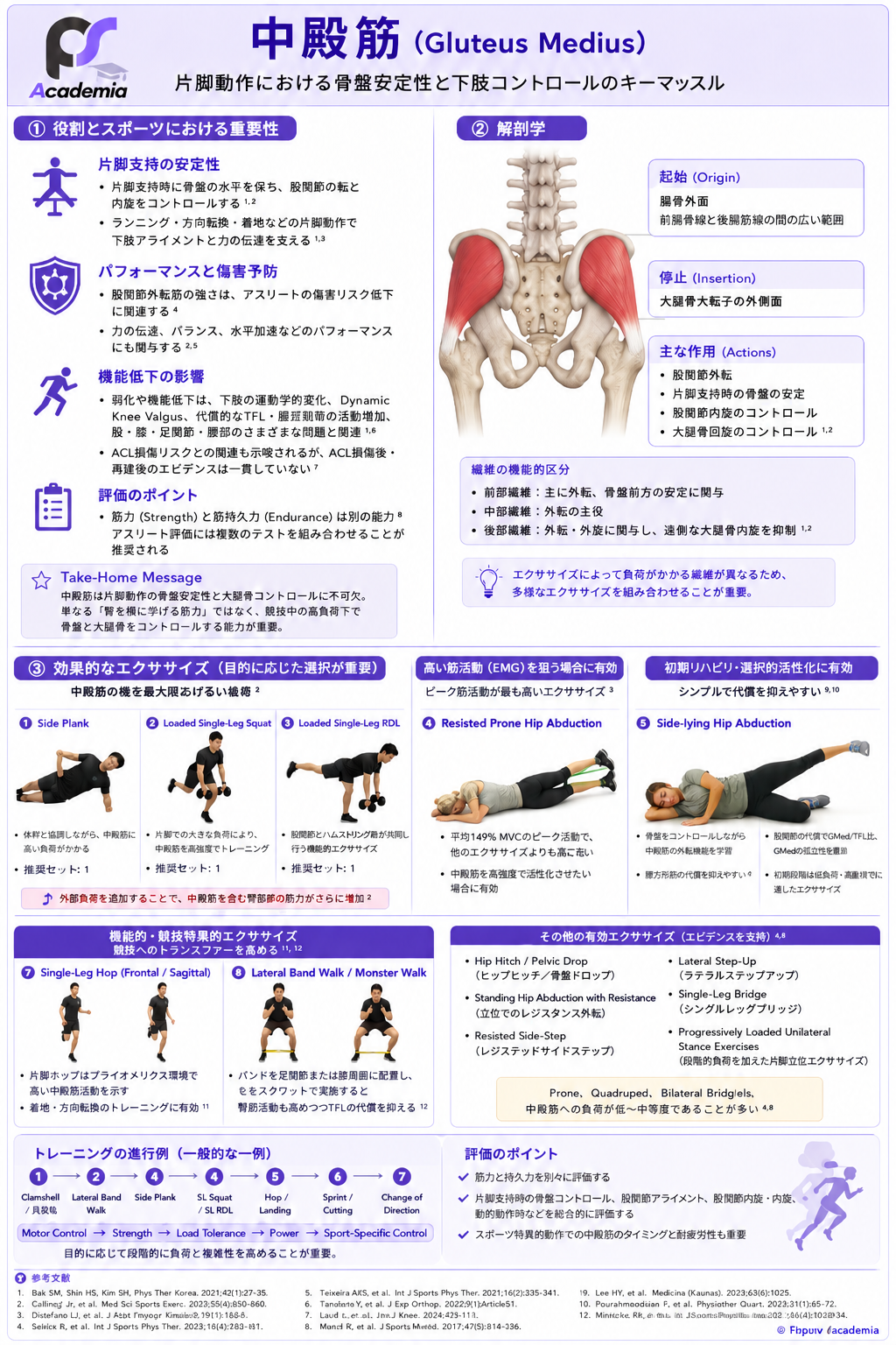 PA Gluteus m. PA Single-Leg Control