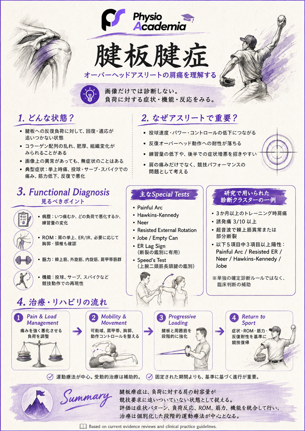 PA Rotator Cuff L&R