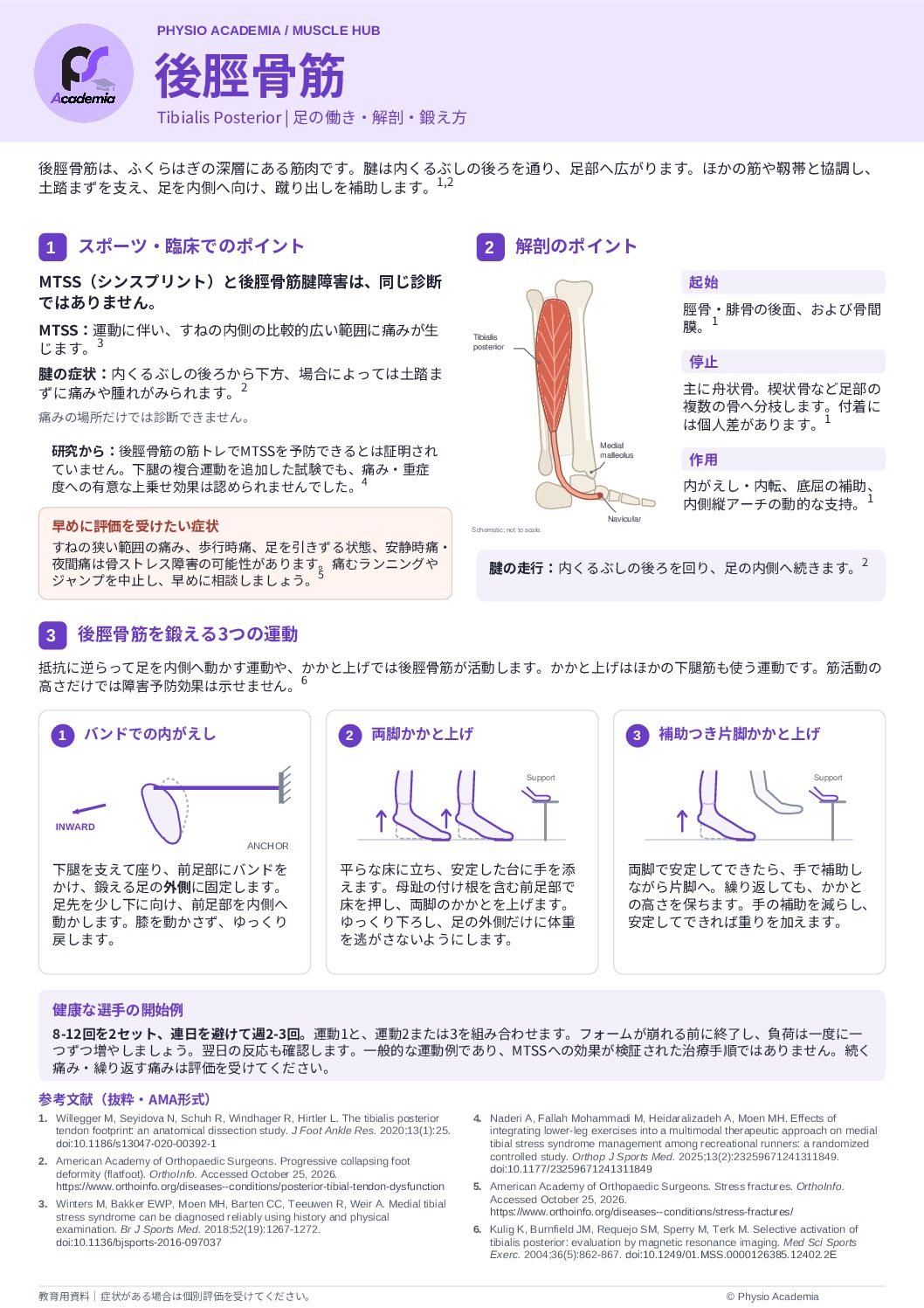 後脛骨筋 PA Single-Leg Control